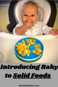 Introducing Baby to Solid Foods
